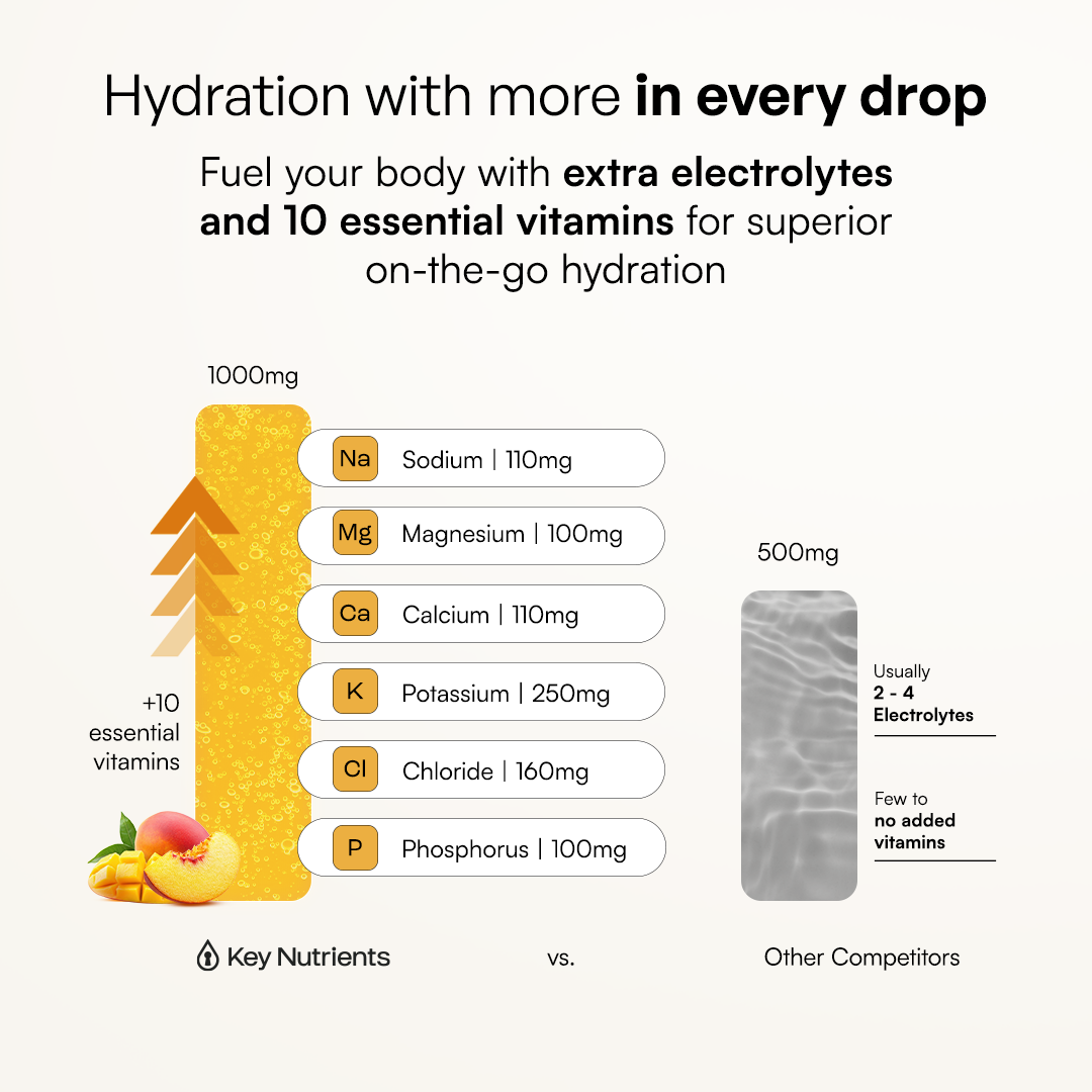 Key Nutrients Sugar-Free Electrolyte Recovery Powder