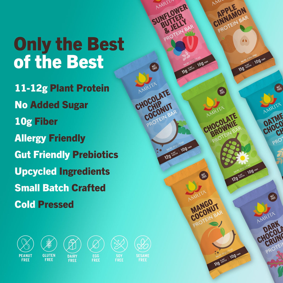 Amrita High Protein Bar Variety Pack (12 Count)