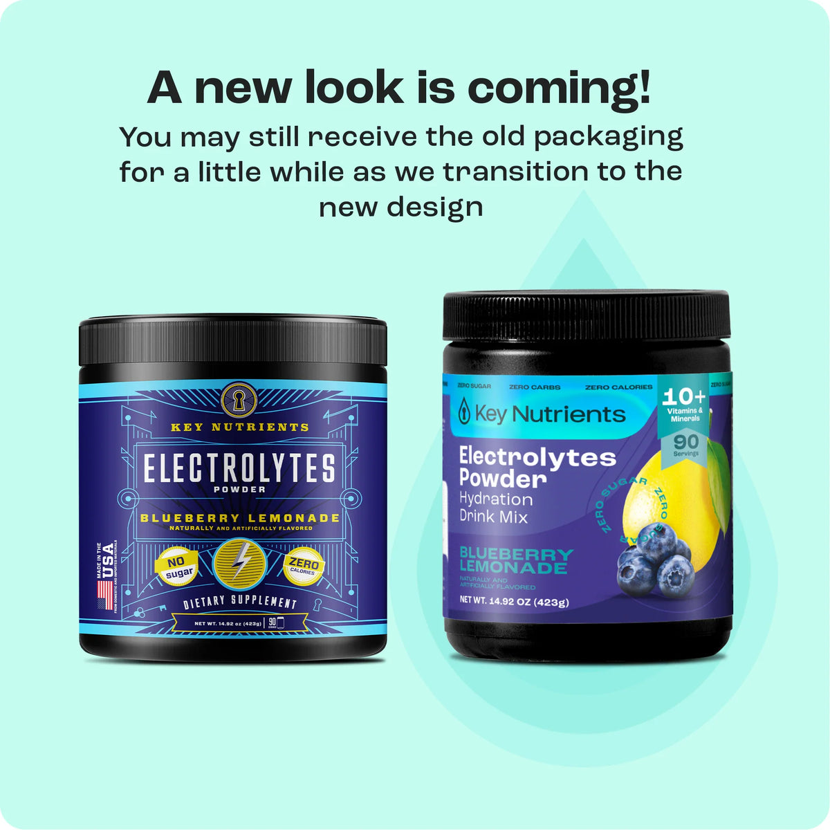 Key Nutrients Sugar-Free Electrolyte Recovery Powder