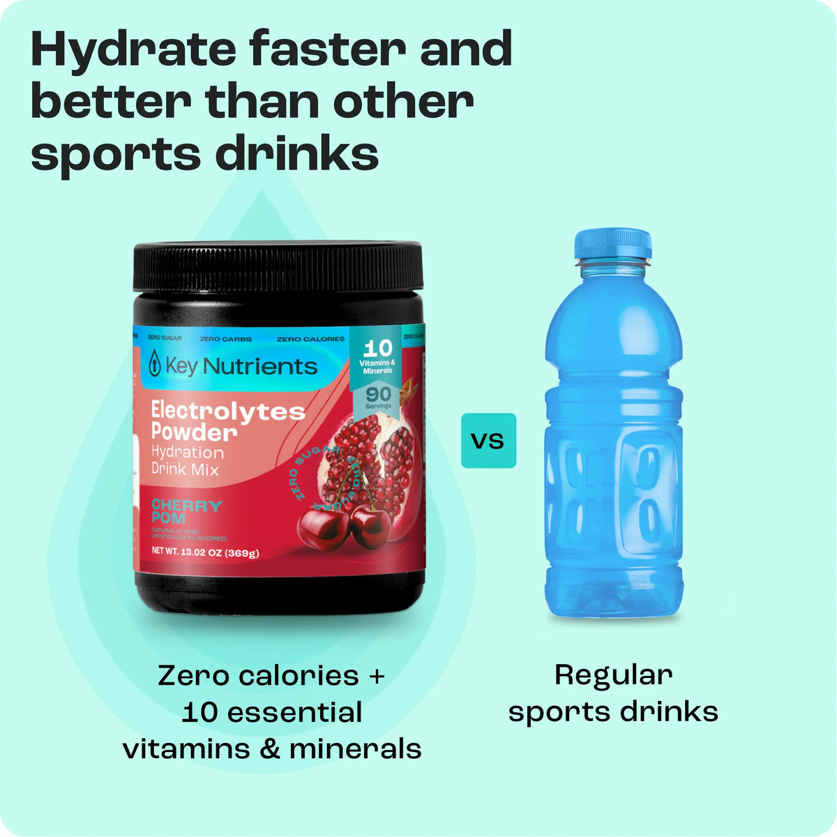 Key Nutrients Sugar-Free Electrolyte Recovery Powder