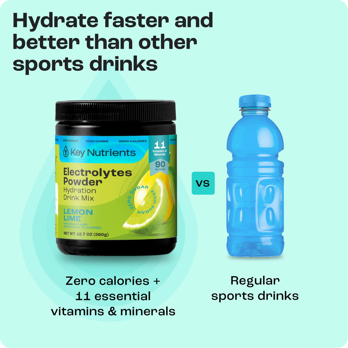 Key Nutrients Sugar-Free Electrolyte Recovery Powder