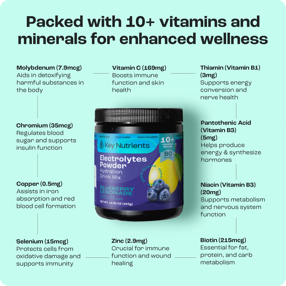 Key Nutrients Sugar-Free Electrolyte Recovery Powder