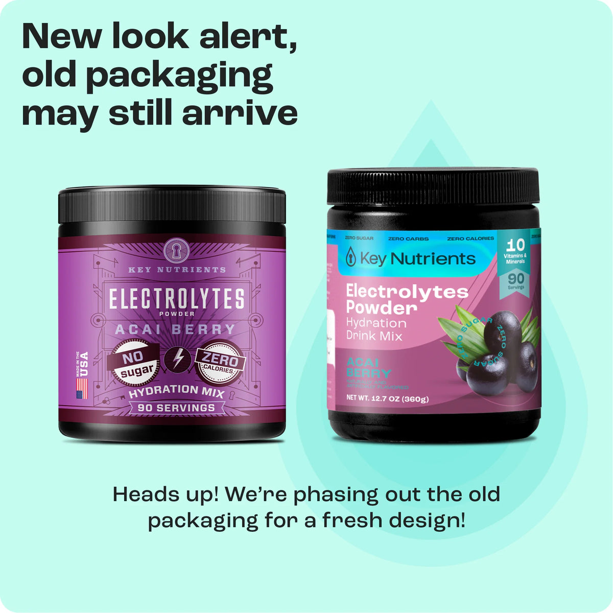Key Nutrients Sugar-Free Electrolyte Recovery Powder